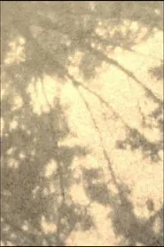 Poster do filme Wordless in Woods