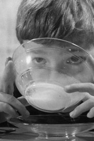 Poster do filme Switzerland Ponders