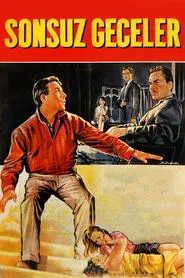 Sonsuz Geceler movie poster