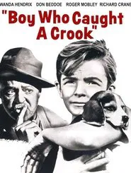 Poster do filme Boy Who Caught a Crook