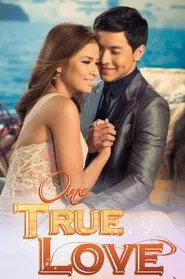 One True Love tv show poster