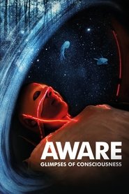 Aware: Glimpses of Consciousness movie poster