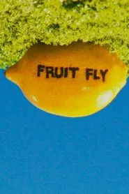 Poster do filme Fruit Fly