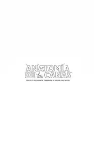 Anatomía de las canas movie poster