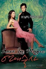 Poster do filme Love in Magic
