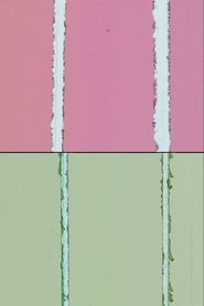 Red & Green movie poster