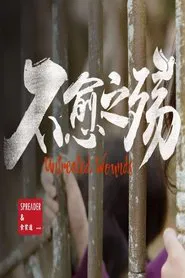 中东大宝荐：不愈之殇 movie poster