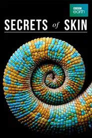 Secrets of Skin tv show poster