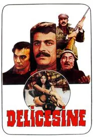 Delicesine movie poster
