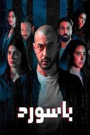Password tv show poster