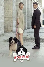 Un cane per due movie poster