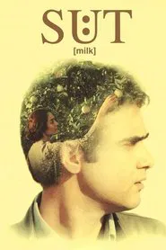 Milk movie poster