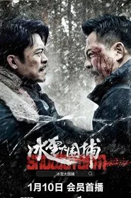 Poster do filme Snowstorm