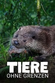 Tiere ohne Grenzen movie poster