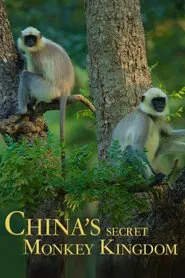 China's Secret Monkey Kingdom movie poster