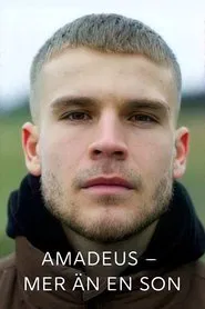 Amadeus - more than a son movie poster