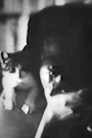 CAT movie poster