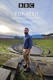 Pompeii: The New Dig tv show poster