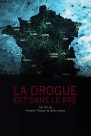 Poster do filme La drogue est dans le pré