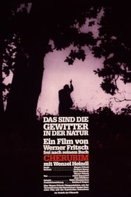 Poster do filme Das sind die Gewitter in der Natur