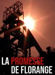 Poster do filme La promesse de Florange