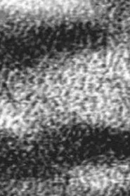 Transfer movie poster