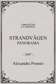 Strandvägen : panorama movie poster