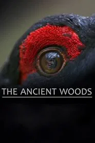 The Ancient Woods movie poster