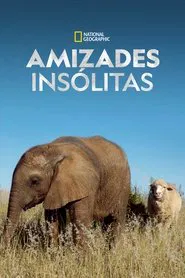 Poster da série Amizades Insólitas