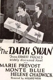 Poster do filme The Dark Swan