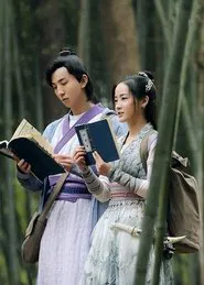 过遍千城才识君 tv show poster