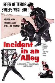 Poster do filme Incident in an Alley
