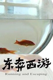 11度青春之东奔西游 movie poster