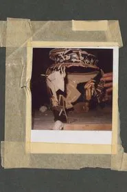 Poster do filme An Excavation