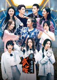 Poster da série She Fighter