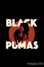 Black Pumas - Rockpalast movie poster