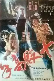 The Escaper movie poster