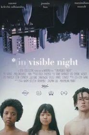 *(In)Visible Night movie poster