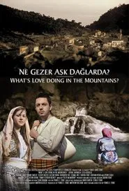 Poster do filme Ne Gezer Aşk Dağlarda?