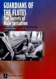 Guardians of the Flutes movie poster