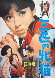 Three Wild Cats movie poster