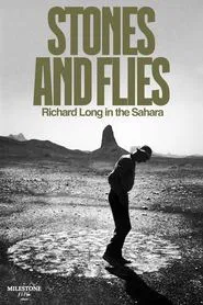 Stones and Flies: Richard Long in the Sahara movie poster