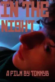 In The Night movie poster