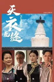 天衣无缝 movie poster