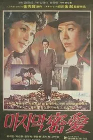 The Last Secret Love movie poster