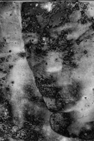 Lost Photons movie poster