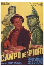 The Peddler and the Lady movie poster