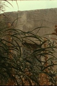 House of the Wickedest Man in the World movie poster