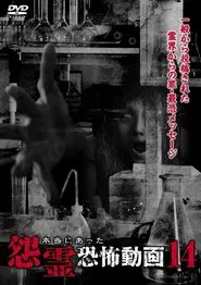 Real Vengeful Ghost Horror Video 14 movie poster