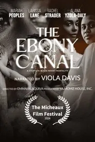 The Ebony Canal: A Story of Black Infant Mortality movie poster